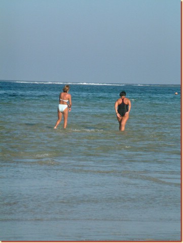 DSCF3820.JPG