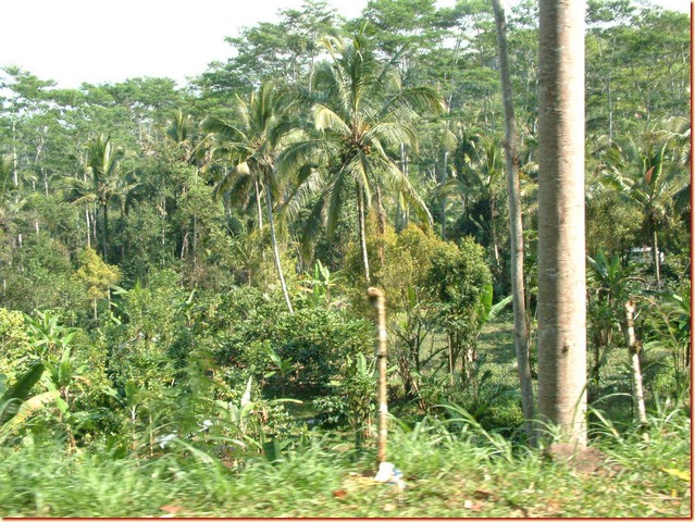 DSCF3863.JPG