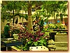 DSCF3384.JPG