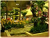 DSCF3386.JPG