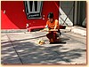 DSCF3403.JPG