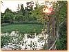 DSCF3475.JPG
