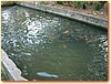 DSCF3478.JPG