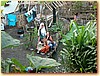 DSCF3482.JPG