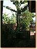 DSCF3495.JPG
