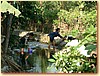 DSCF3499.JPG