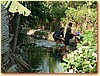DSCF3500.JPG