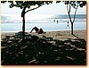 DSCF3687.JPG