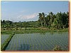 DSCF3937.JPG