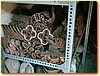 DSCF4142.JPG