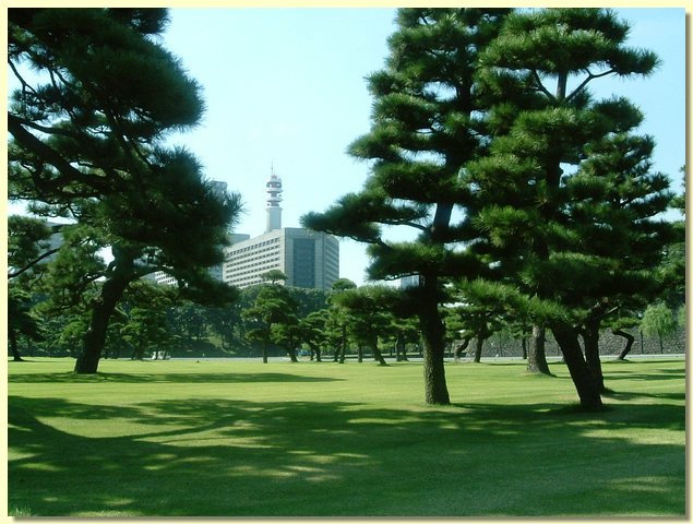 japan046.JPG