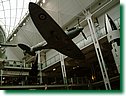 London027.JPG