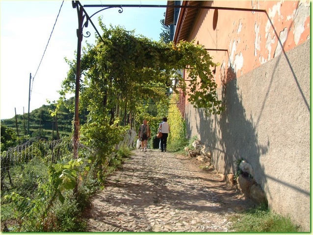 DSCF0011.JPG