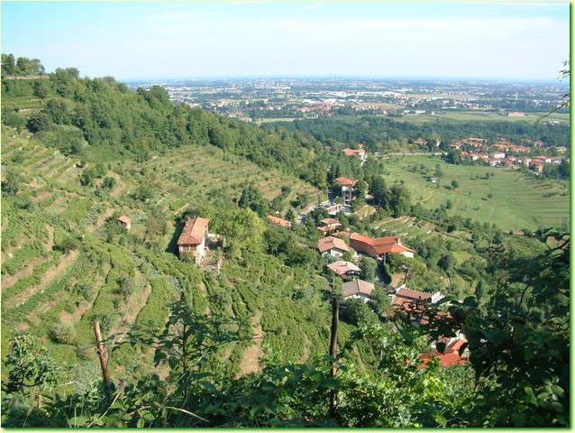 DSCF0014.JPG