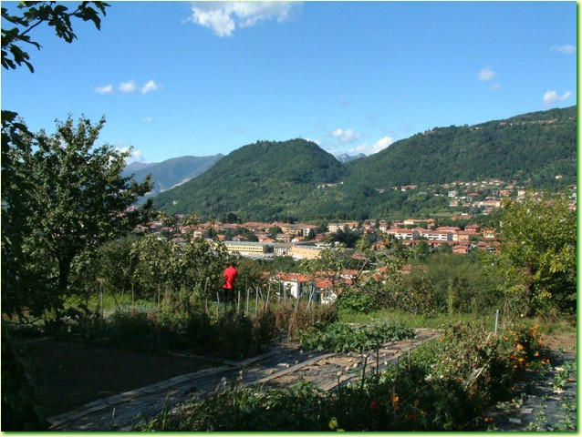 DSCF0229.JPG
