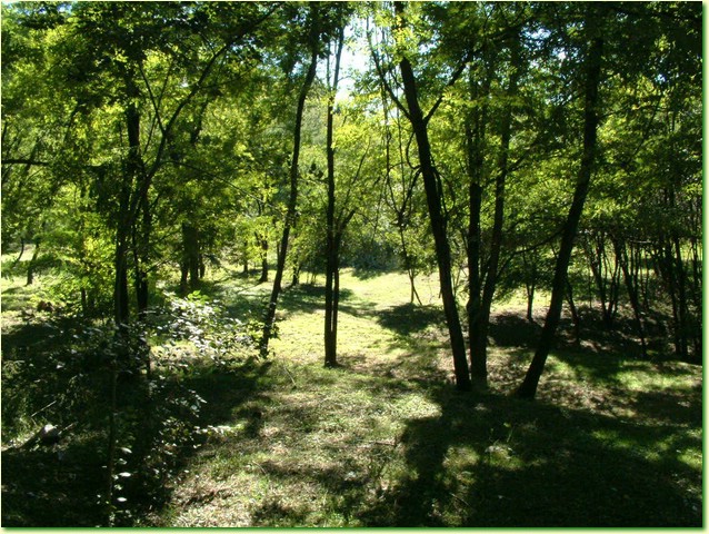 DSCF0232.JPG