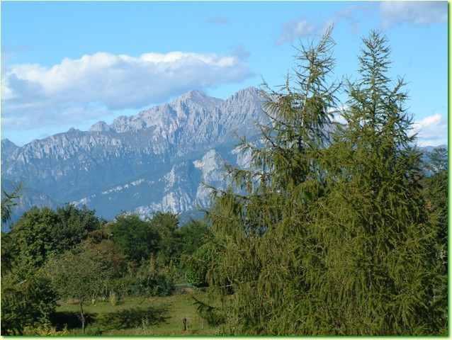 DSCF0238.JPG