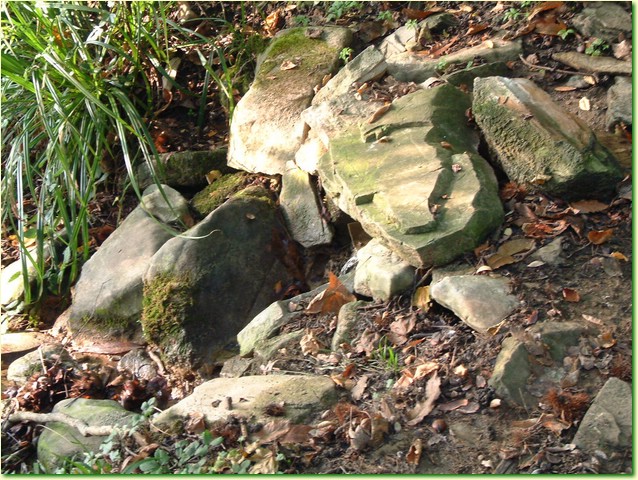 DSCF0483.JPG