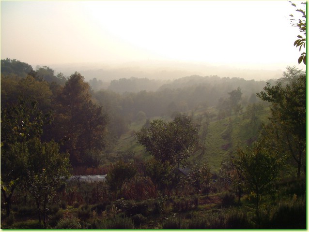 DSCF0484.JPG
