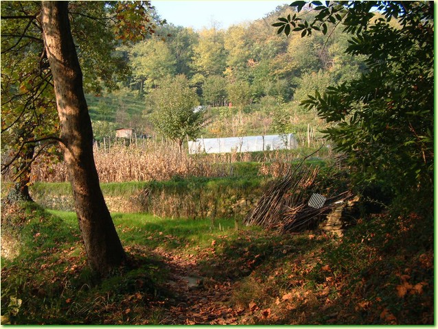 DSCF0486.JPG