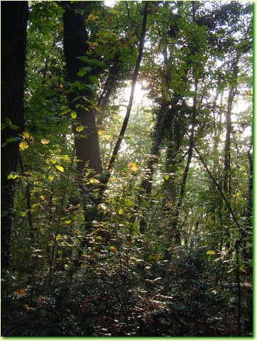 DSCF0489.JPG