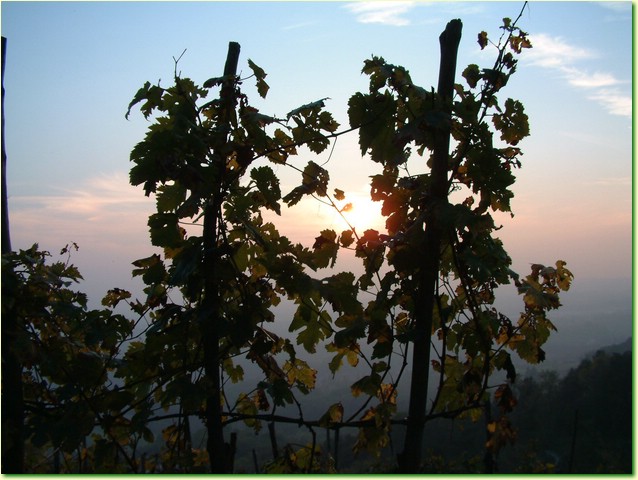 DSCF0499.JPG