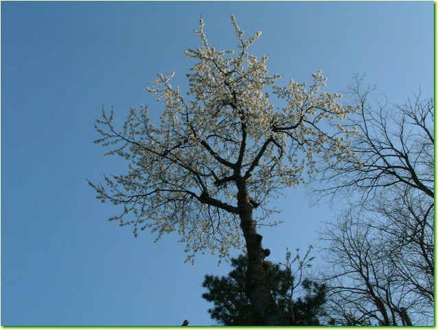 DSCF1609.JPG