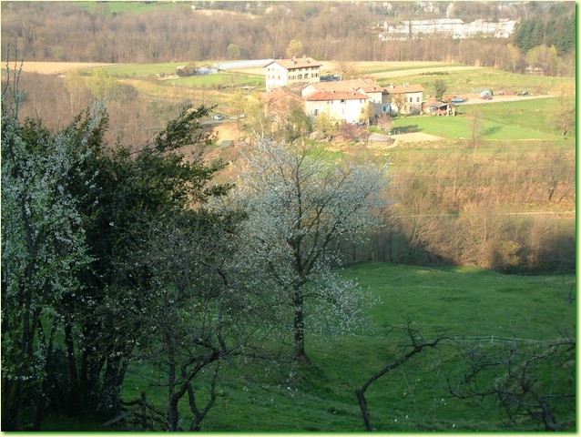 DSCF1611.JPG