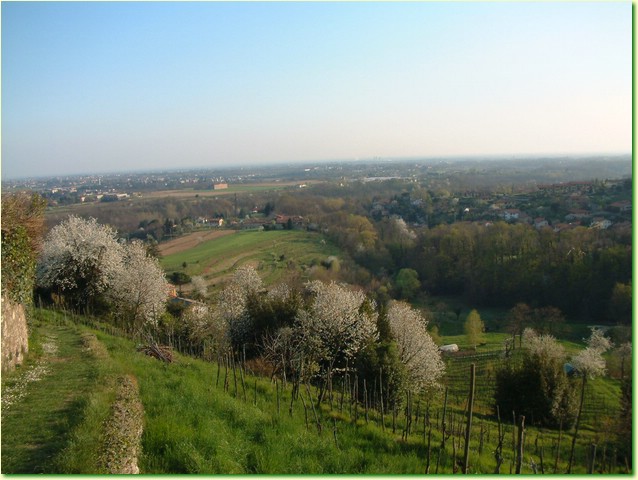 DSCF1616.JPG