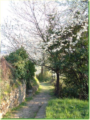 DSCF1620.JPG