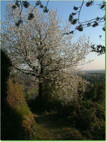 DSCF1622.JPG