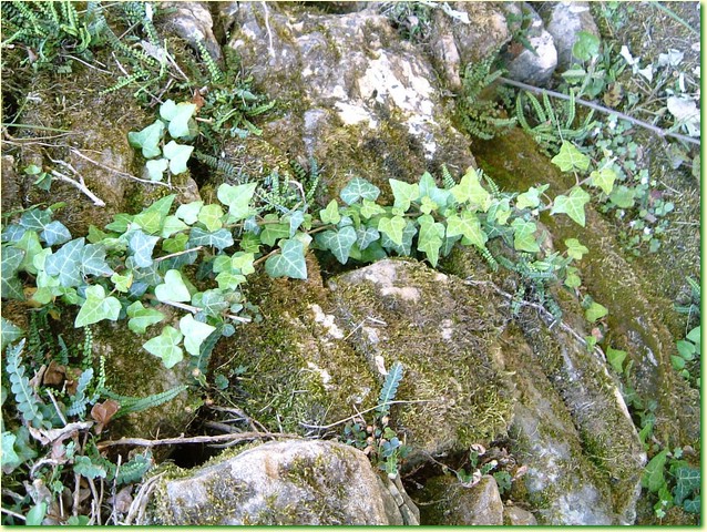 DSCF5913.JPG