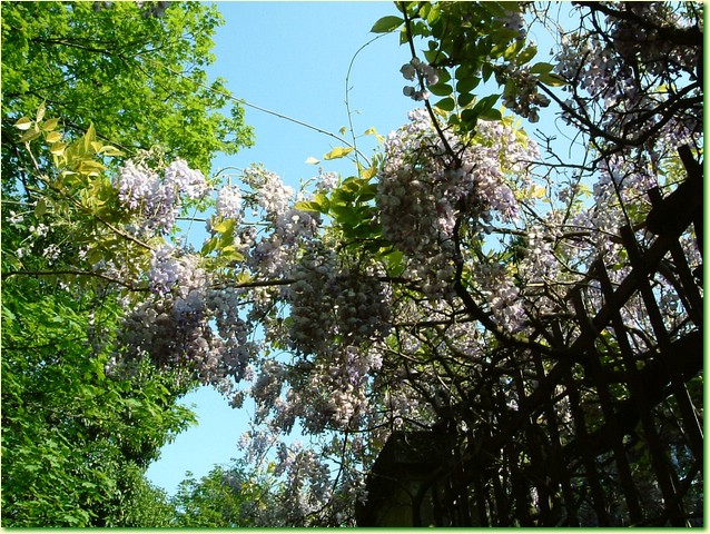 DSCF5985.JPG