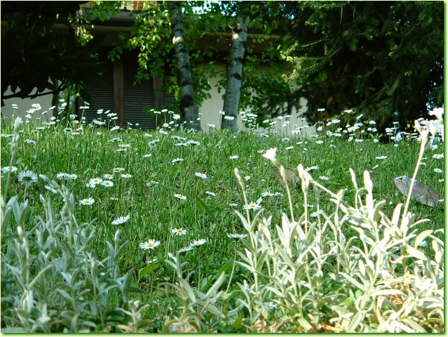 DSCF5986.JPG