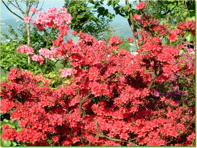 DSCF5998.JPG