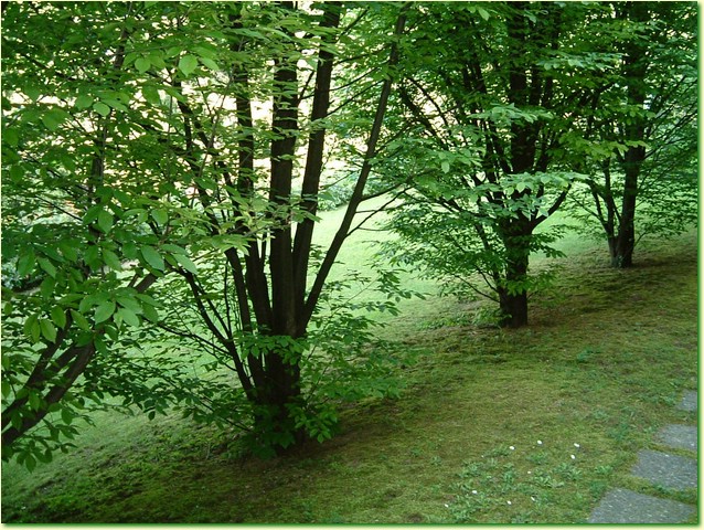 DSCF6009.JPG