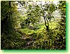 DSCF0482.JPG