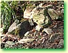 DSCF0483.JPG