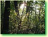 DSCF0488.JPG
