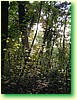 DSCF0489.JPG