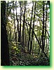 DSCF0490.JPG