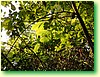 DSCF0494.JPG