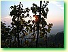 DSCF0498.JPG