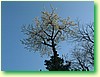 DSCF1609.JPG