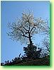 DSCF1610.JPG