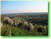 DSCF1616.JPG