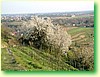 DSCF1617.JPG