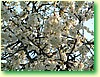 DSCF1619.JPG