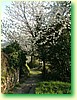DSCF1621.JPG