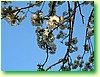 DSCF1623.JPG